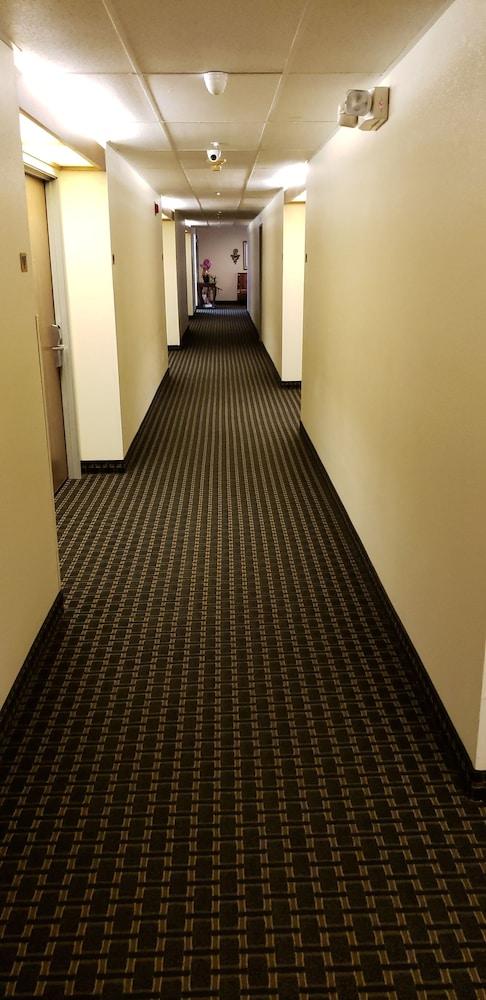 Hotel Super 8 By Wyndham Windsor Zewnętrze zdjęcie